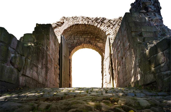 removable gate hinge