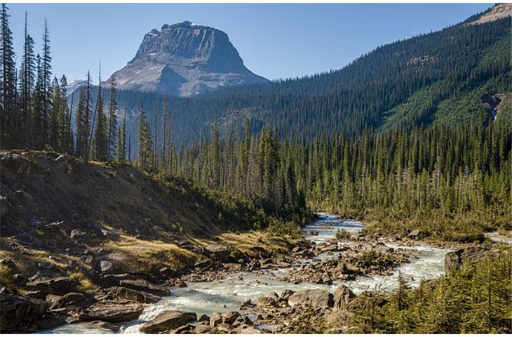 The Pivotal Role of National Hinges - Blogs - 1