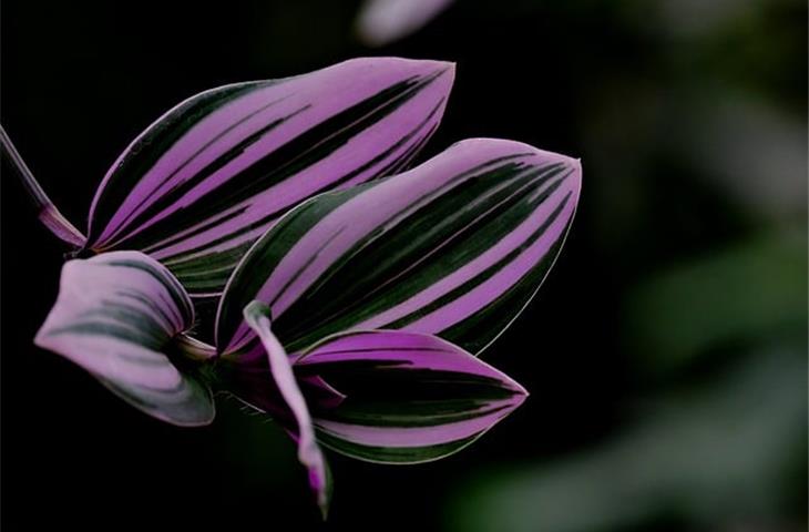 ss soft close hinges