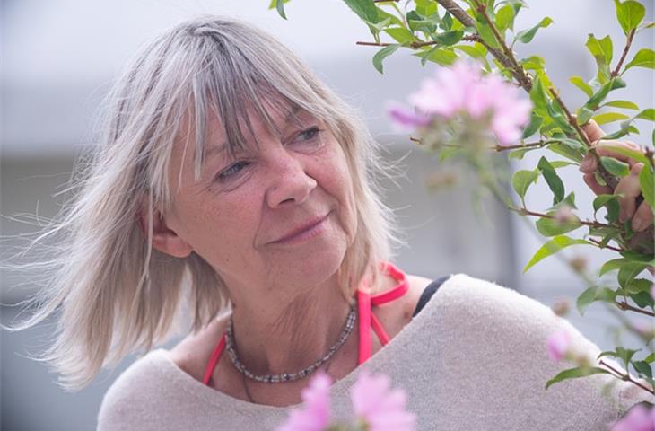 older style cabinet hinges