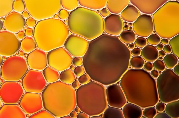 oil rubbed bronze screws