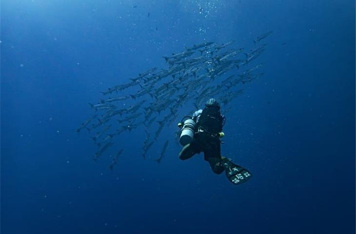 stainless hinges marine