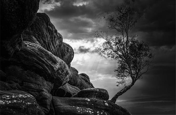 Black Outdoor Hinges: The Ultimate Guide - Blogs - 3