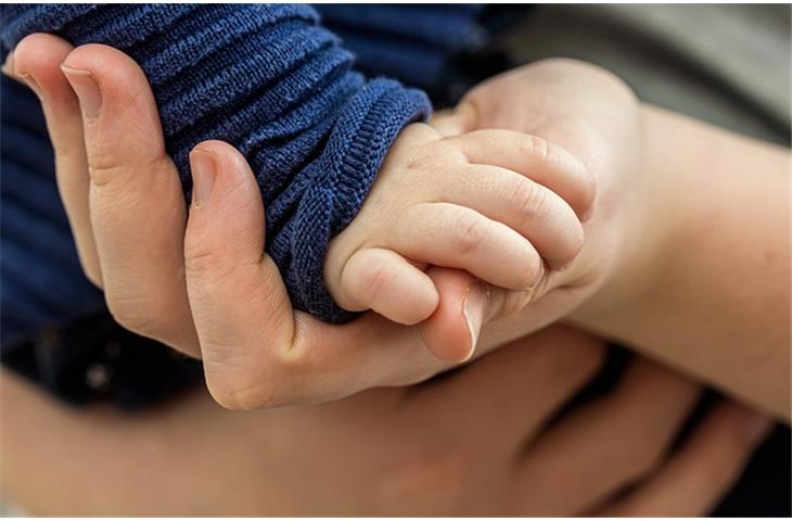 locking lid support hinge