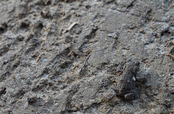 invisible concealed hinges