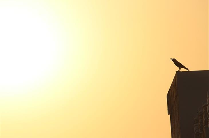 soft close exposed hinges