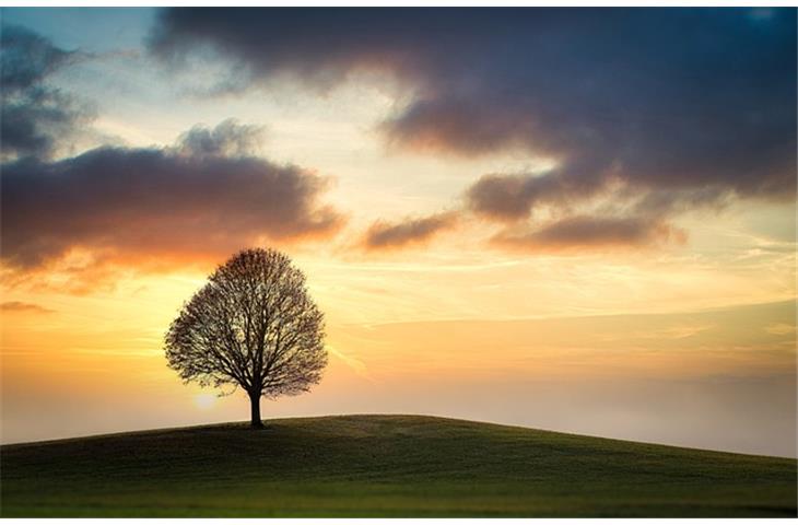 single acting spring hinges