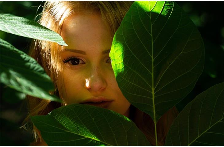 hidden cabinet hinges