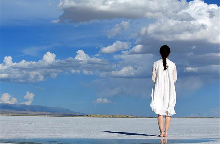 spring return hinges