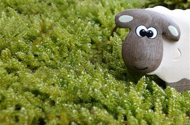 toy chest soft close hinges