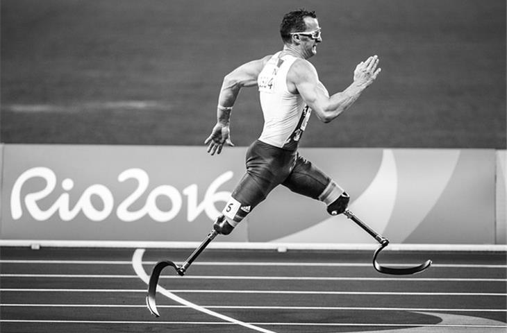 spring action hinges