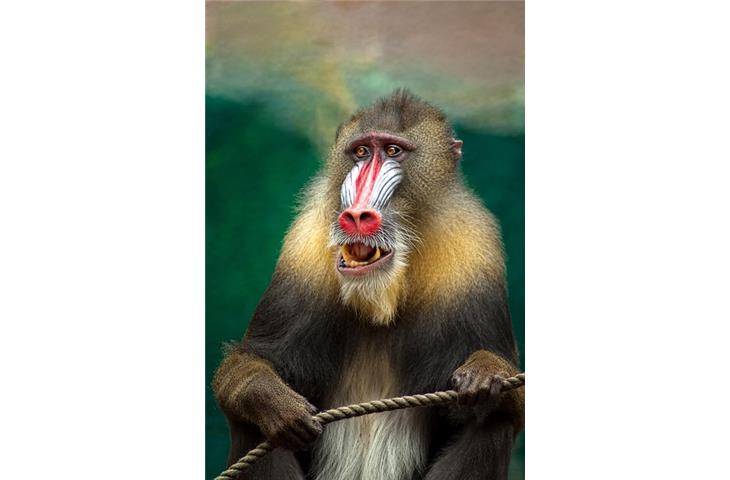 heavy duty hinges south africa