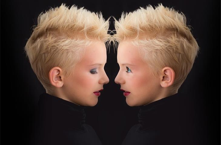 double action self closing spring hinge