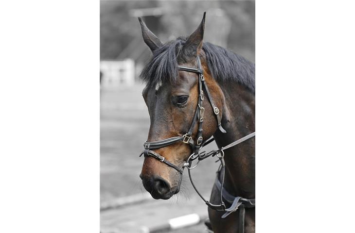 heavy duty detachable hinges