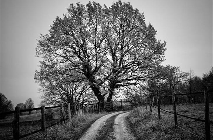 white door black hinges