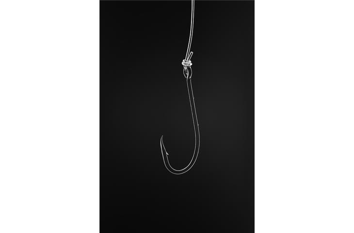 screw hook with strap hinge