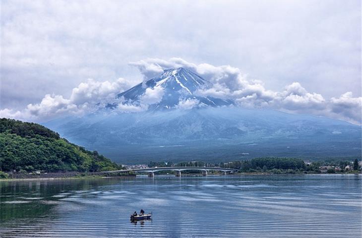 wall mount pivot hinge