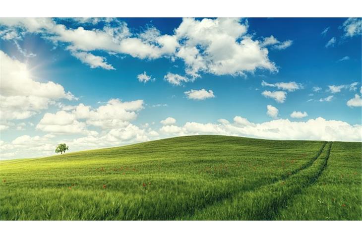 4 inch spring loaded hinges