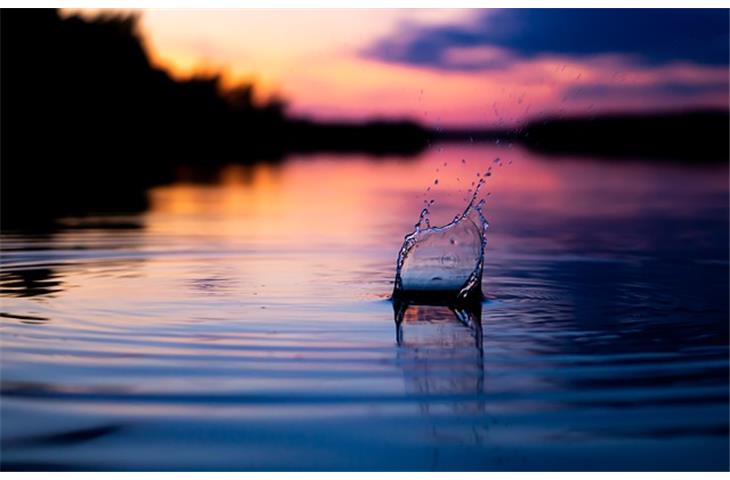 wide throw butt hinges