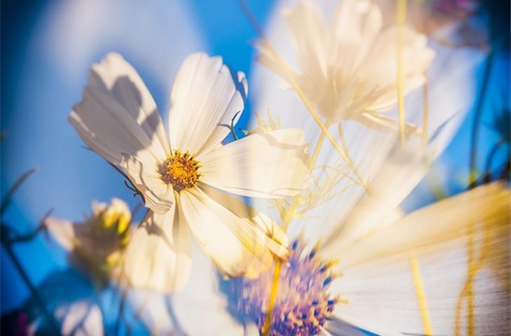 double acting hinge installation