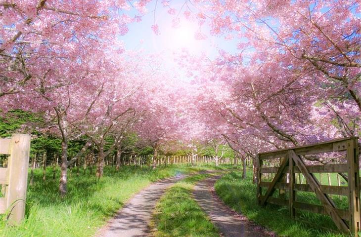 heavy duty spring loaded gate hinges