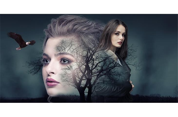 double action concealed hinge