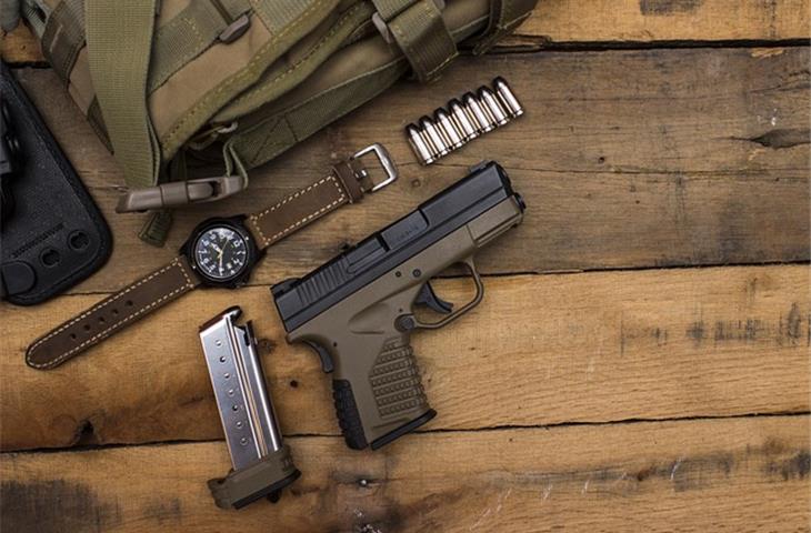 concealed pivot hinge