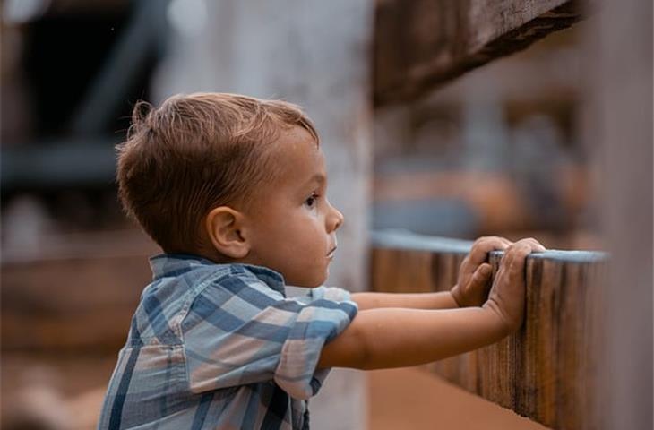 antique looking hinges