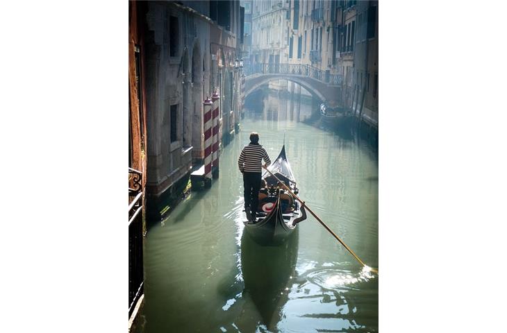 venetian bronze hinges