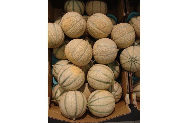 black cabinet hinges bulk