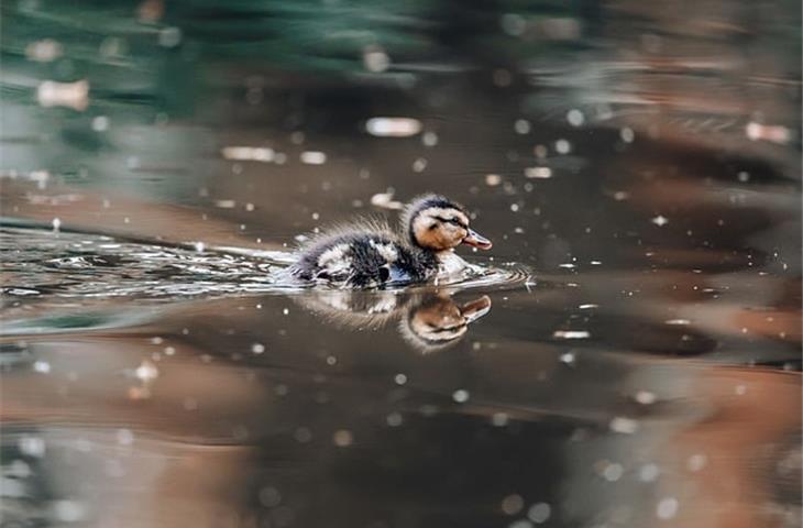 very small brass hinges