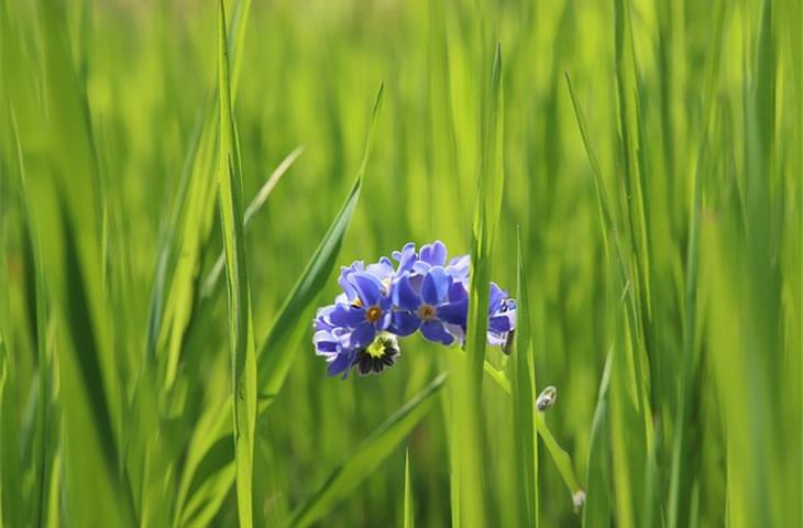 180 degree hidden hinge