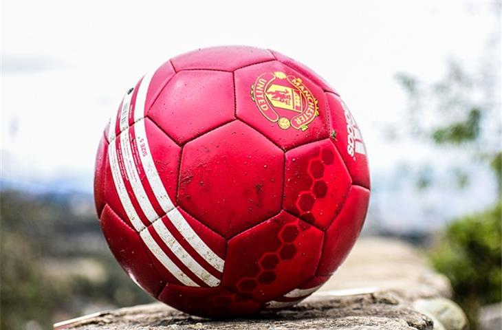 3 ball bearing hinges