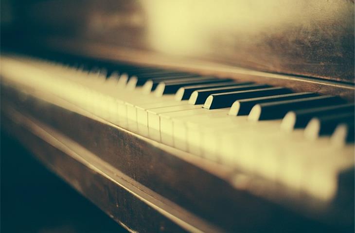 heavy duty spring loaded piano hinge