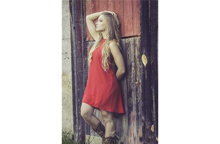 heavy duty barn hinges