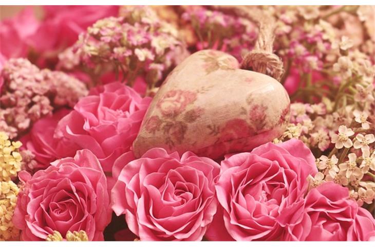 happy mid autumn day