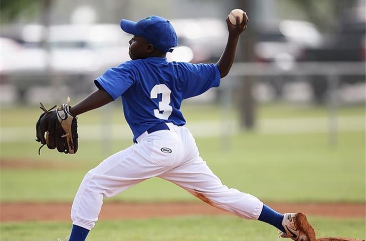 wide throw butt hinges