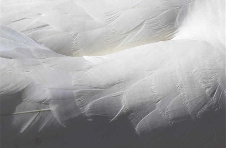 adjustable soft close hinges