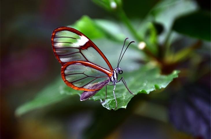 invisible hinges heavy duty