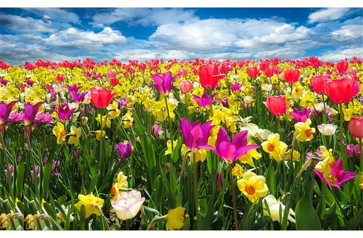 spring loaded pivot hinge