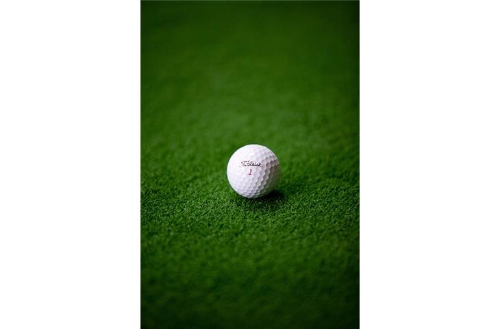 ball hinge