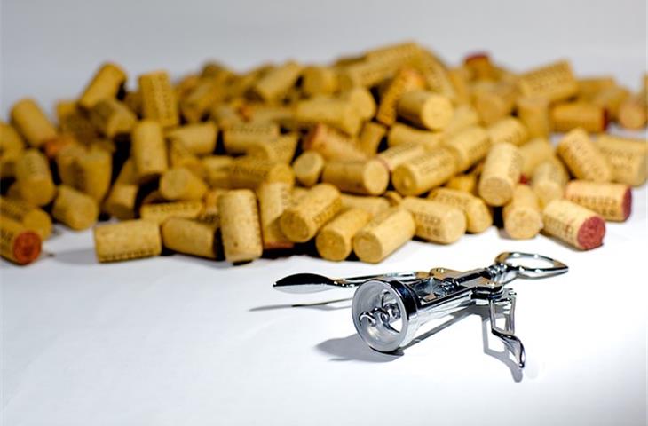 hinges with screws