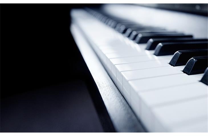 marine piano hinges
