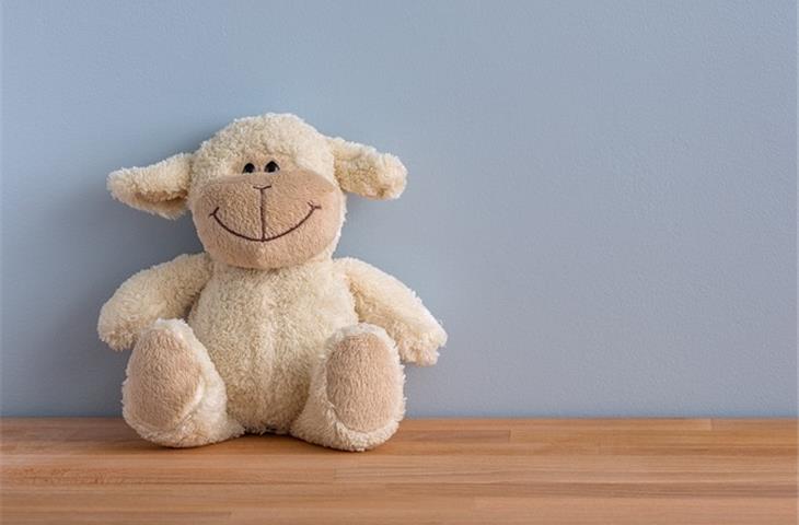 toy chest lid hinges