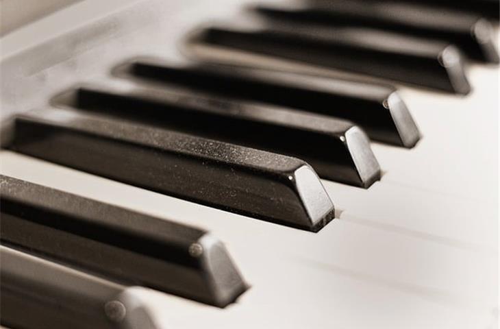 bronze piano hinge