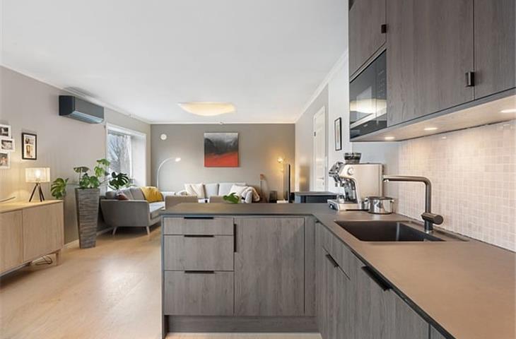 black kitchen cabinet hinges