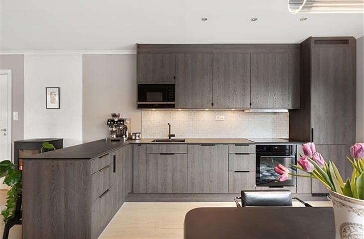 silver hinges for kitchen cabinets