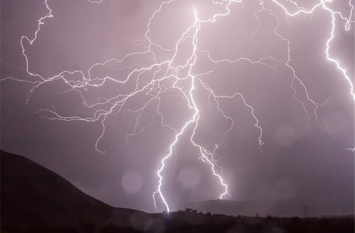 hinges bolt