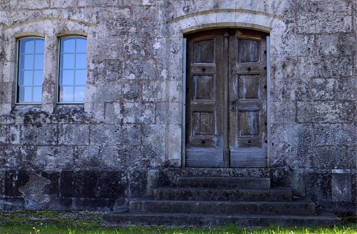 entrance door hinges