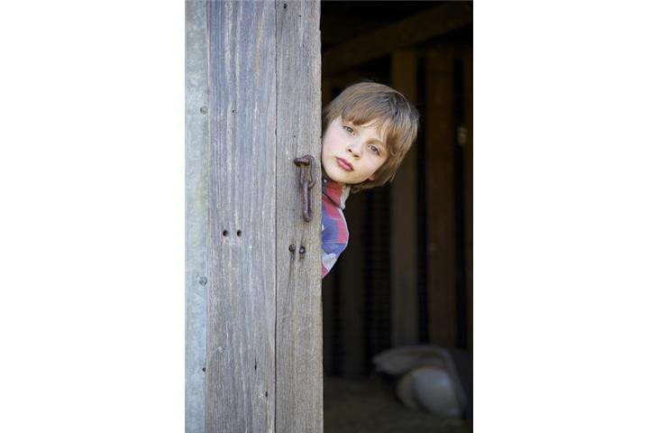 hinges for barn doors